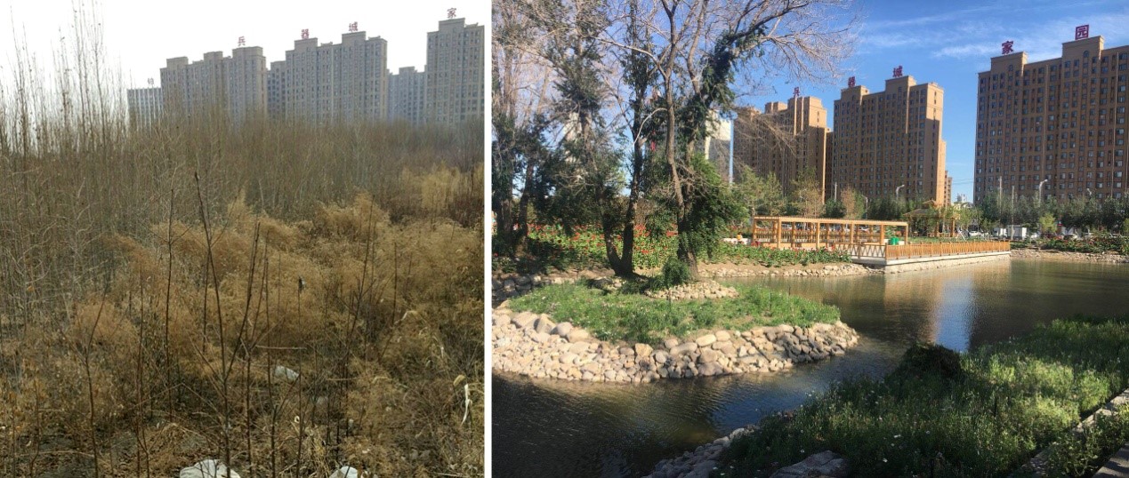 图3：白城市科普公园改造前后对比