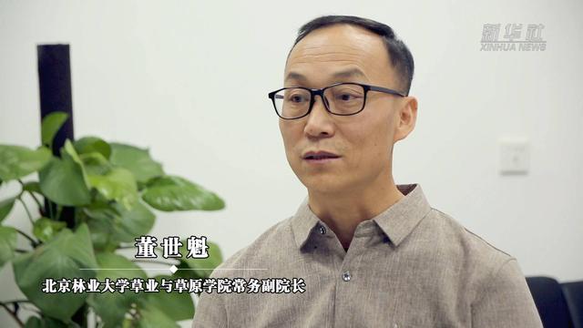 生态报道