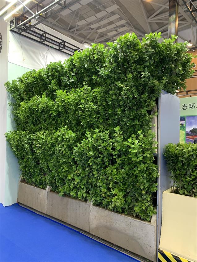 垂直绿化技术