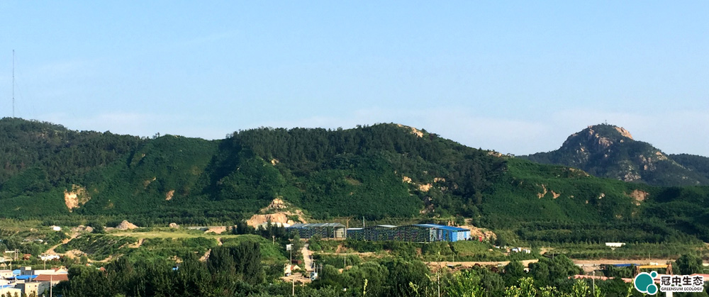 冠中修复项目