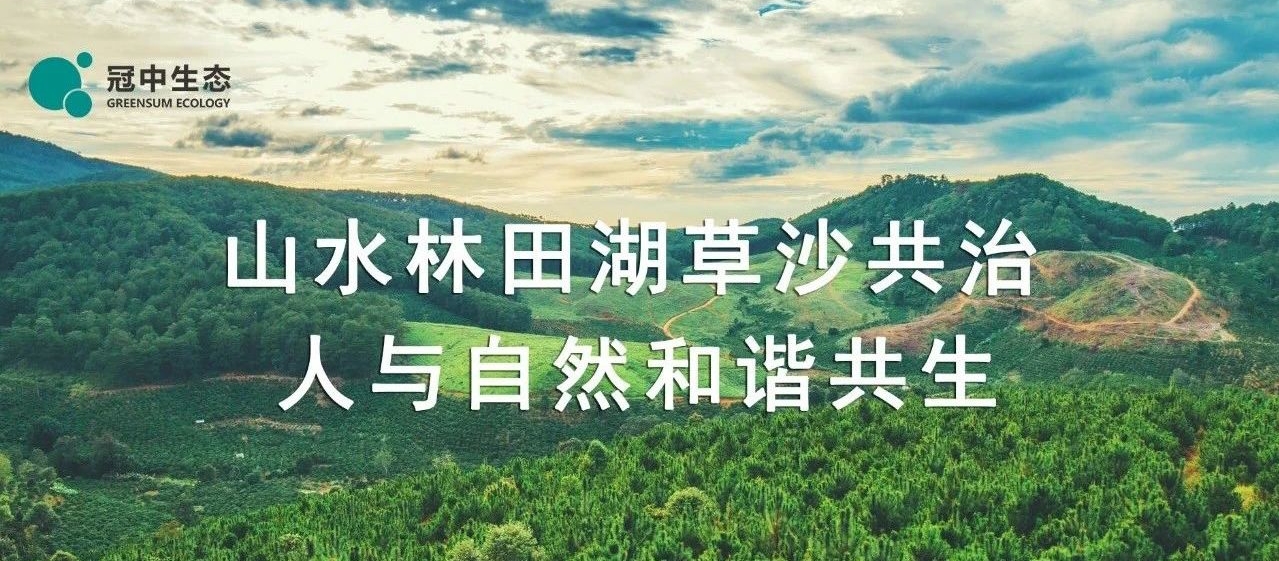 冠中治理