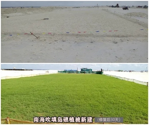南海植被修复