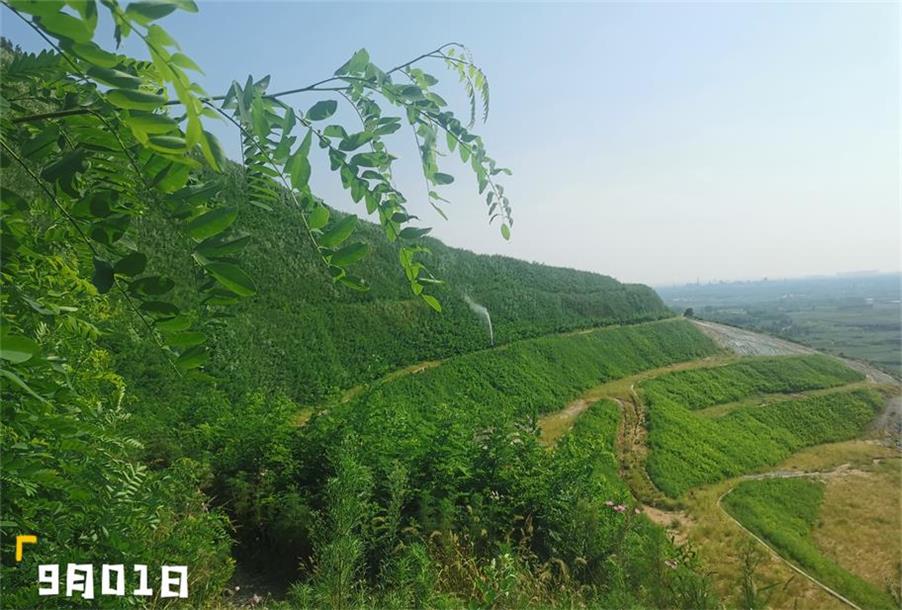 修复后效果