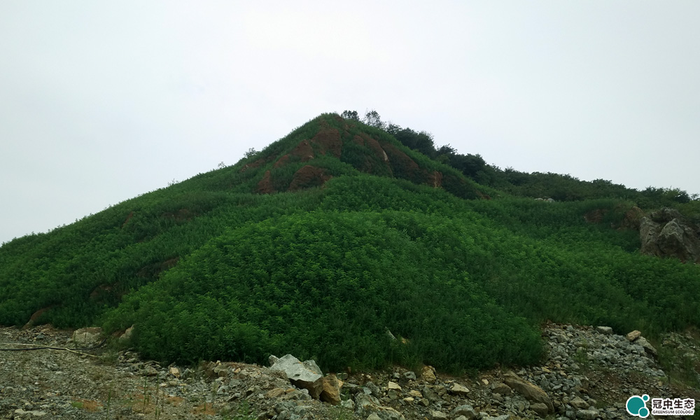 废弃矿山治理