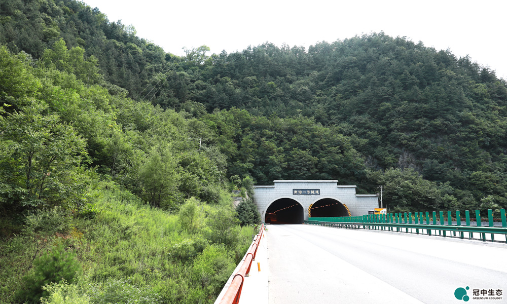 高速公路边坡修复 高速公路边坡修复