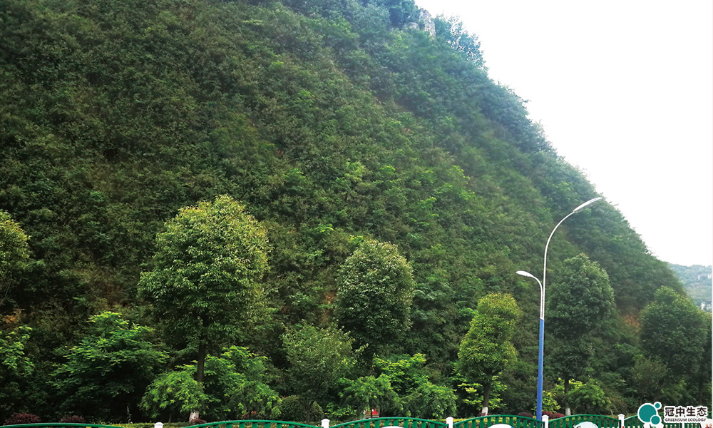 安顺修复后