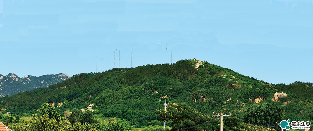 矿山治理