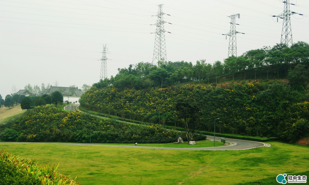 生态治理