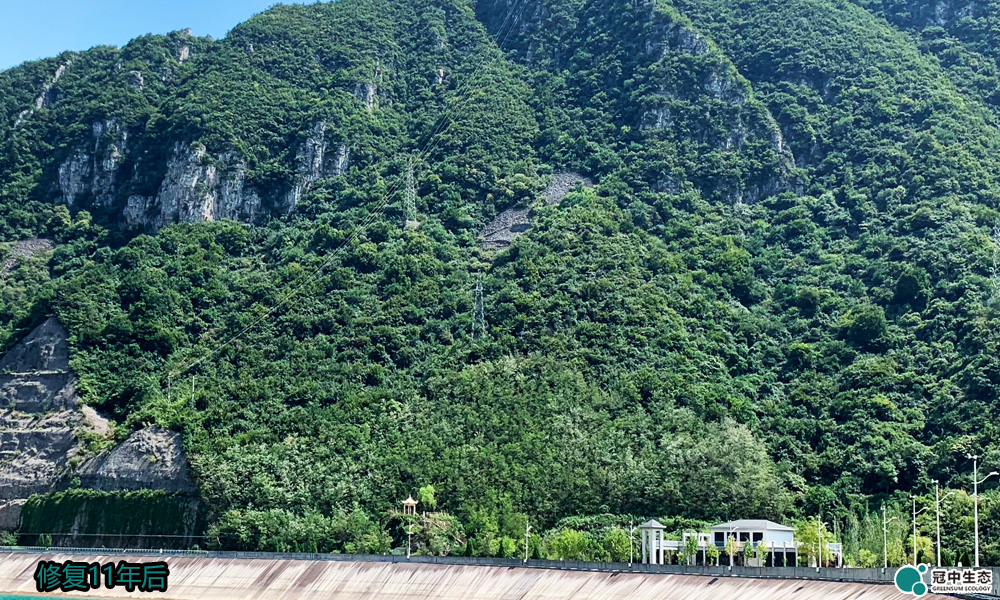 山体修复